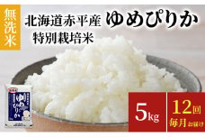 無洗米 北海道赤平産 ゆめぴりか 5kg 特別栽培米 【12回お届け】 米 北海道 定期便