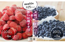 役に立ちます！冷凍カット果物2種( ブルーベリー100g×3袋＆いちご100g×4袋) ※2023年8月中旬より順次出荷