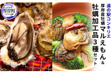 厚岸産 牡蠣 マルえもん 30個 コンキリエオリジナルセット 北海道 カキ かき  調味料 塩 醤油 アヒージョ