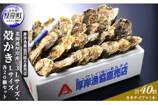 厚岸産 殻かき 3L 20個・L 20個セット (合計40個) 北海道 牡蠣 カキ かき 生食 