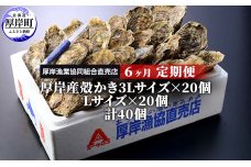 定期便 6ヶ月 北海道 厚岸産 牡蠣 3L 20個 と L 20個 ひと月あたり40個お届け (各回40個×6ヶ月分,合計240個) 殻付き 生食 かき カキ
