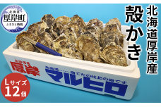厚岸産 殻かき L12個セット 北海道 牡蠣 カキ かき  生牡蠣 殻付