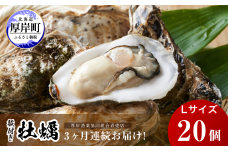 定期便 3ヶ月 北海道 厚岸産 牡蠣 Lサイズ 20個 (各回20個×3ヶ月分,合計60個) 殻付き 生食 カキナイフ付き かき カキ