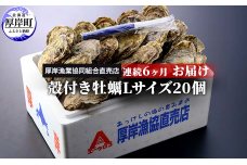 定期便 6ヶ月 北海道 厚岸産 牡蠣 Lサイズ 20個 (各回20個×6ヶ月分,合計120個) 殻付き 生食 カキナイフ付き かき カキ