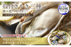 2025年2月発送 北海道 厚岸産 殻かき三種 食べ比べ セット