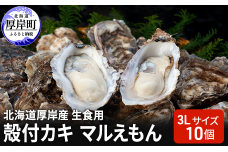 北海道厚岸産 生食用　殻付カキ3Lサイズ10個　マルえもん