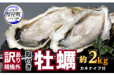 訳あり ハーフ 規格外 牡蠣 北海道厚岸産 殻付カキ 約2kg（11～25個）カキナイフ付 生食