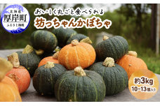 厚岸ハスカ 坊ちゃんかぼちゃ 約3kg（10～13個入り）