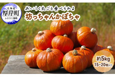 厚岸ハスカ 坊ちゃんかぼちゃ 約5kg（15～20個入り）