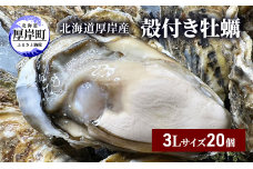 北海道 厚岸産 殻付き 牡蠣 3Lサイズ 20個