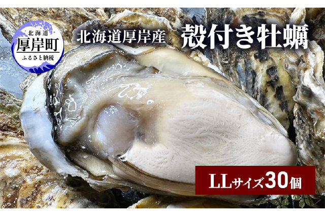 北海道知内産　殻付き　牡蠣　30個　Lサイズ