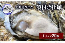 北海道 厚岸産 殻付き 牡蠣 Lサイズ 20個