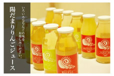 山善 齊藤農園　12種類の陽だまりりんごジュース12本セット（各180ml）