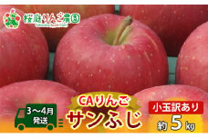 【3～4月発送】家庭用CAりんご サンふじ 訳アリ小玉 約5kg 食べきりサイズ（数量限定）