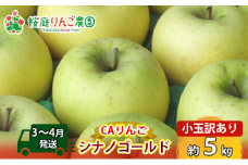 【3～4月発送】家庭用CAりんご シナノゴールド 訳アリ小玉 約5kg食べきりサイズ