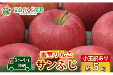 【3～4月発送】雪室りんご サンふじ 小玉訳アリ 約5kg 食べきりサイズ