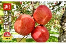 【1月発送】きくち林檎農園りんごっこ 家庭用 大玉 サンふじ 訳あり 約5kg