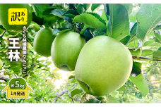 【1月発送】きくち林檎農園りんごっこ 家庭用 大玉 王林 訳あり 約5kg