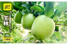 【1月発送】きくち林檎農園りんごっこ 家庭用 大玉 王林 訳あり 約10kg