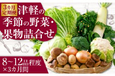 【３カ月定期便】津軽の季節の野菜・果物詰合せ　【02387-0008】