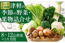 【５ヶ月定期便】津軽の季節の野菜・果物詰合せ　【02387-0010】