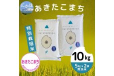 【令和5年産】【無洗米】特別栽培米あきたこまち5kg×2