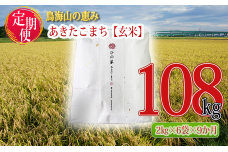 《定期便》12kg×9ヶ月 秋田県産 あきたこまち 玄米 2kg×6袋 神宿る里の米「ひの米」（お米 小分け）
