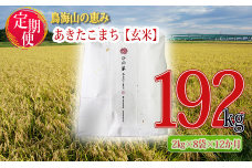 《定期便》16kg×12ヶ月 秋田県産 あきたこまち 玄米 2kg×8袋 神宿る里の米「ひの米」（お米 小分け）
