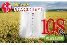 《定期便》18kg×6ヶ月 秋田県産 あきたこまち 玄米 2kg×9袋 神宿る里の米「ひの米」（お米 小分け）