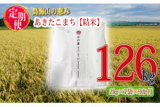 《定期便》14kg×9ヶ月 秋田県産 あきたこまち 精米 2kg×7袋 神宿る里の米「ひの米」（お米 小分け）