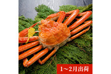 日本海で獲れた天然ズワイガニ（1kg以上）