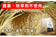 農薬・除草剤不使用で栽培したあきたこまち「郷山のお米 10kg」（5kg×2袋 玄米）