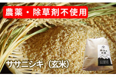 農薬・除草剤不使用で栽培したササニシキ「郷山のお米 2kg」（玄米）