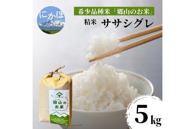ふるさと納税 「【希少品種米】ササニシキの親 農薬不使用のササシグレ