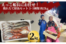 Leave it to Captain Ekko! Freshly caught fresh fish set 3-5 types approx. 2kg (assorted fresh fish box)
