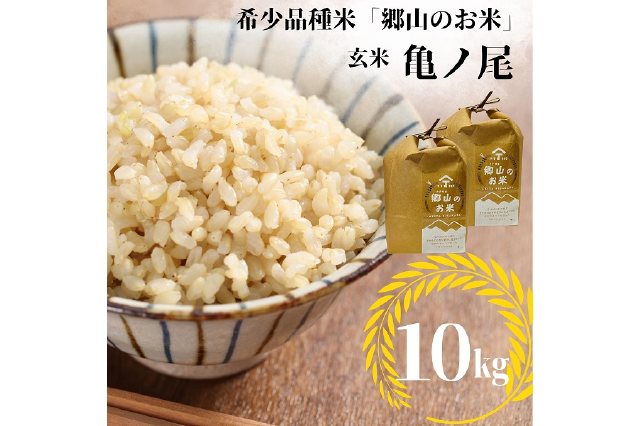 無農薬米令和5年新米 自然栽培米亀の尾 玄米10kg×2 農薬不使用・肥料不使用