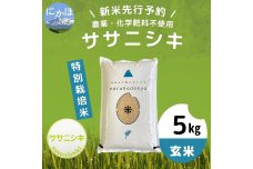 【令和5年産新米予約】【玄米】栽培期間中農薬・化学肥料不使用　特別栽培米ササニシキ5kg