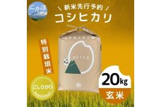 【令和5年産新米予約】【玄米】特別栽培米コシヒカリ20kg