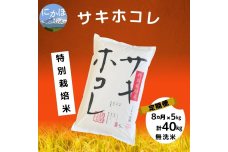 【令和5年産】<8ヵ月定期便>【無洗米】特別栽培米サキホコレ5kg×8回