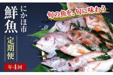 開けたらすぐ食べられる日本海の鮮魚定期便（2～3人前・年4回）(魚介 下処理済み 詰合せ 詰め合わせ セット)