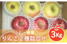 【 令和5年産 】 りんご 2種 詰め合わせ （ ふじ 金星 ） 計 3kg 〔 12月上旬～お届け 〕 2023年産 [056R5-003]