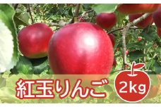 【 令和5年産 】 紅玉 （ りんご ） 2kg 9～12玉 〔 10月中旬～お届け 〕 2023年産 [056R5-004]