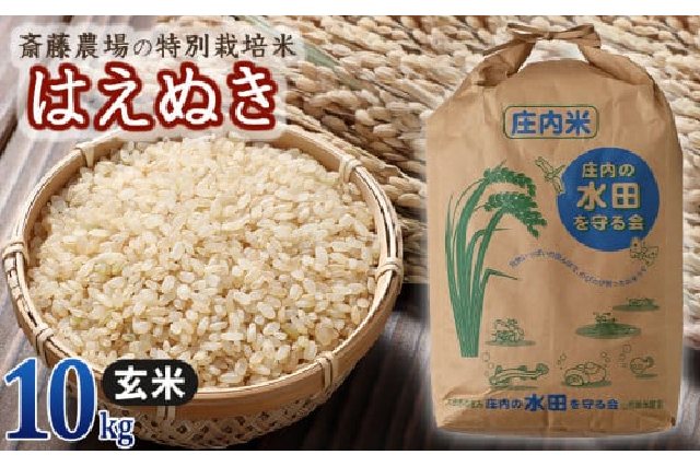 ふるさと納税 「【令和5年産】 斎藤農場の特別栽培米 はえぬき玄米