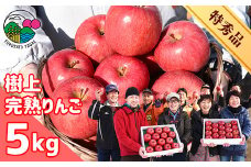 樹上完熟りんご「サンふじ」特秀品 5kg（14～18玉）【2023年12月上旬頃～下旬頃発送予定】　024-B-HK010