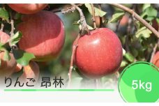 りんご 昂林 5kg 2023年産 ja-rikrx5