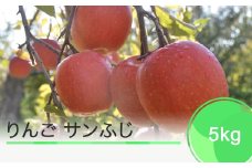 りんご サンふじ 5kg 2023年産 ja-risfx5