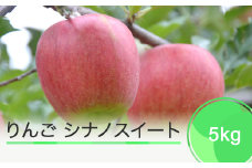 りんご シナノスイート 5kg 2023年産 ja-rissx5
