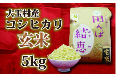 【令和5年産】【おいしいお米コンクール受賞米あだたらドリームアグリ㈱】 コシヒカリ　玄米　５kg【07412】