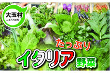 たっぷりイタリア野菜セット(10種類×2)【01057】