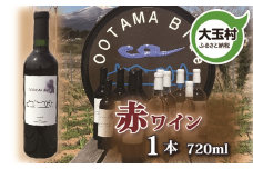 【数量限定】ワイン　赤 メルロ種　720ml 1本（ootama blue）【20001】